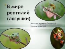 В мире рептилий (лягушки)