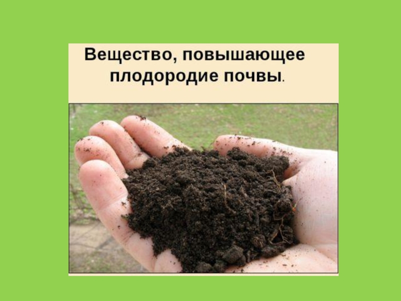 Земля кормилица 4 класс. Вещество повышающее плодородие почвы. Что повышает плодородие почвы. Вещество повышающие плодородные почвы. Земля кормилица почвы.