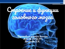 Презентация по биологии на тему Строение и функции головного мозга (8 класс)