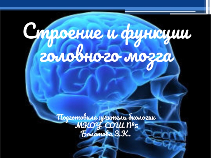 Биология 8 класс головной мозг презентация 8 класс