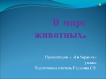 Презентация по окружающему миру  В мире животных