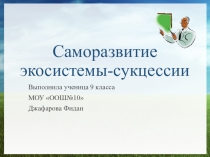 Презентация Саморазвитие экосистемы, сукцессии.