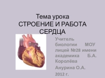 Презентация Строение и работа сердца