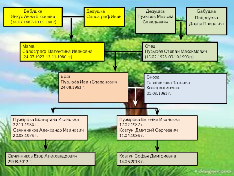 Презентация Моя родсловная БабушкаЯнкус Анна Егоровна (24.07.1887-10.05.1982)ДедушкаПузырёв Максим СавельевичБабушкаПоцелуева Дарья ПавловнаМамаСалозграф Валентина Ивановна(24.07.1923-13.11.1980 гг)ОтецПузырёв БабушкаЯнкус Анна Егоровна (24.07.1887-10.05.1982)ДедушкаПузырёв Максим СавельевичБабушкаПоцелуева Дарья ПавловнаМамаСалозграф Валентина Ивановна(24.07.1923-13.11.1980 гг)ОтецПузырёв Степан Максимович(15.02.1928-09.10.1993гг)БратПузырёв Иван Степанович24.08.1963 г.СнохаГоршенкова Татьяна