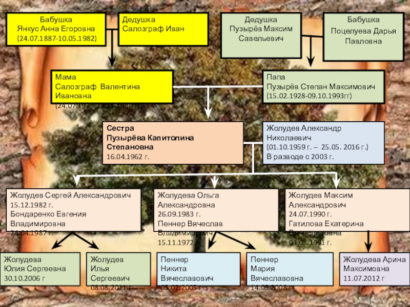 Презентация Моя родсловная БабушкаЯнкус Анна Егоровна (24.07.1887-10.05.1982)ДедушкаПузырёв Максим СавельевичБабушкаПоцелуева Дарья ПавловнаМамаСалозграф Валентина Ивановна(24.07.1923-13.11.1980 гг)ПапаПузырёв БабушкаЯнкус Анна Егоровна (24.07.1887-10.05.1982)ДедушкаПузырёв Максим СавельевичБабушкаПоцелуева Дарья ПавловнаМамаСалозграф Валентина Ивановна(24.07.1923-13.11.1980 гг)ПапаПузырёв Степан Максимович(15.02.1928-09.10.1993гг)СестраПузырёва Капитолина Степановна16.04.1962 г.Жолудев Александр