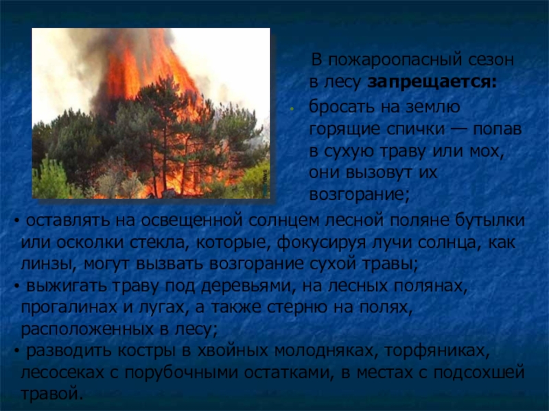 Профилактика лесных пожаров защита населения. Защита населения лесных и торфяных пожаров. Профилактика лесных пожаров.
