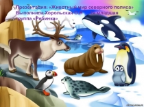 Презентация Животный мир северного полюса Познавательное развитие.