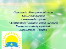 Асқортудың мүшелерінің құрылысы