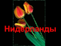 Нидерланд мемлекетінің шаруашылығы (11-сынып)