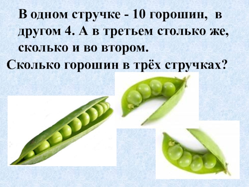 Пятеро из одного стручка. Сколько горошин в стручке. 9 Горошин в стручке. В одном стручке 1 десяток горошин. В одном стручке 6 горошин сколько горошин в 3 таких стручках.