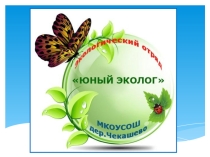 Презентация по обмену опытом по экологическому воспитанию Экообмен