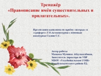 Презентация по русскому языку Правописание имён существительных и прилагательных