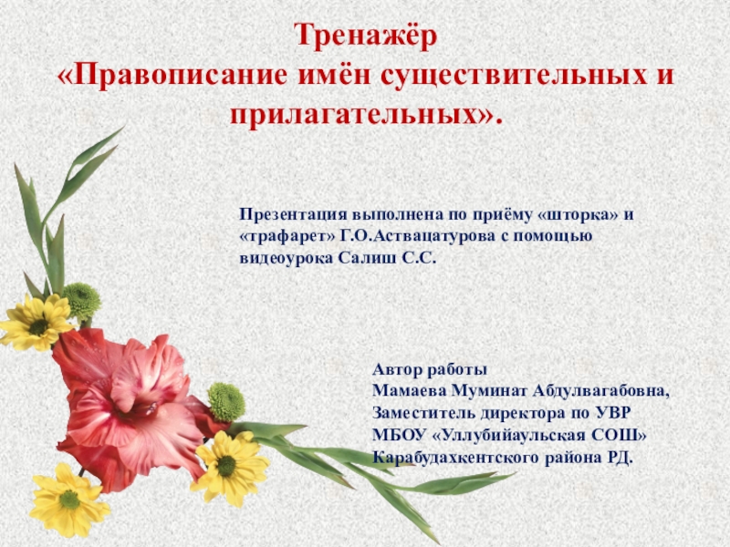 Презентация Презентация по русскому языку Правописание имён существительных и прилагательных