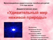 Дидактическая игра: Удивительный мир неживой природы