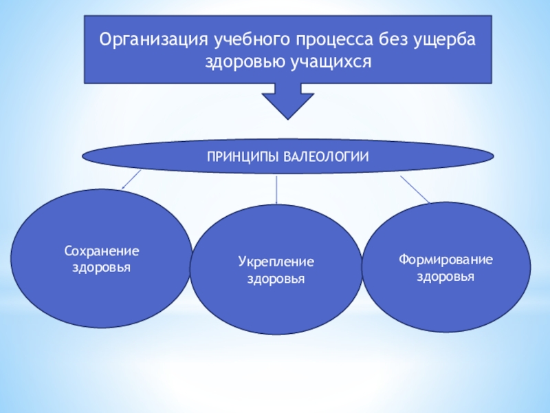 Учебный процесс это. Организация учебного процесса. Организация образовательного процесса. Организация воспитательного процесса. Учебный процесс.