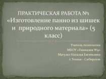 Презентация Практические работы