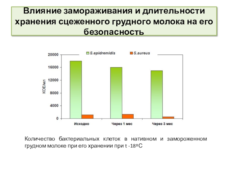 Принципы сестринской деятельности в организации работы банка донорского молока Влияние замораживания и длительности хранения сцеженного грудного молока на его безопасностьКоличество Влияние замораживания и длительности хранения сцеженного грудного молока на его безопасностьКоличество бактериальных клеток в нативном и замороженном