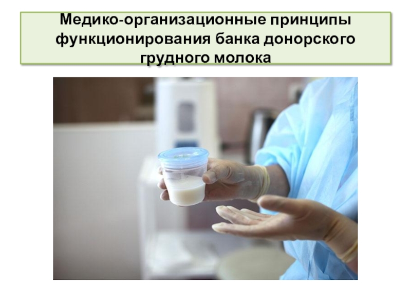 Принципы сестринской деятельности в организации работы банка донорского молока Медико-организационные принципы функционирования банка донорского грудного молока Медико-организационные принципы функционирования банка донорского грудного молока