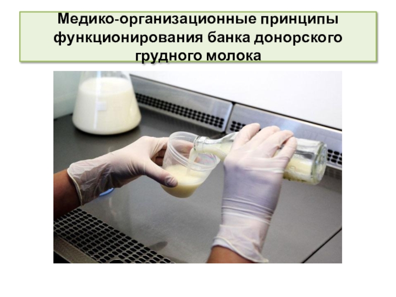 Принципы сестринской деятельности в организации работы банка донорского молока Медико-организационные принципы функционирования банка донорского грудного молока Медико-организационные принципы функционирования банка донорского грудного молока