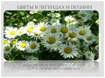 Презентация к внеклассному мероприятию Цветы в легендах и поэзии