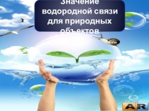 Презентация по химии Значение водородной связи