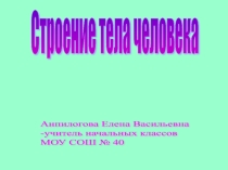 Презентация по окружающему миру Строение тела человека ( 4класс )