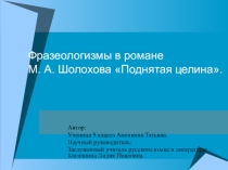 Презентация к урокам русского языка и литературы