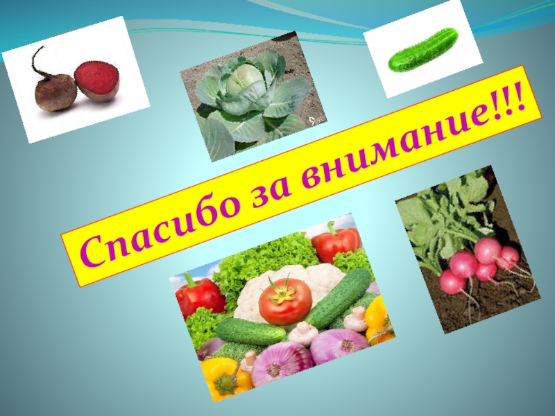 Презентация по математике на тему Закрепление изученного материала Спасибо за внимание!!! Спасибо за внимание!!!
