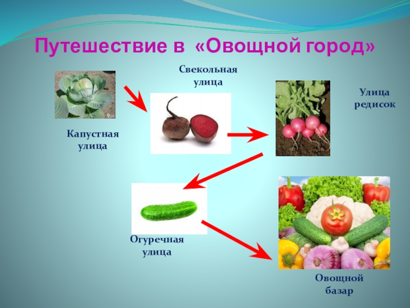 Презентация по математике на тему Закрепление изученного материала Путешествие в «Овощной город»Капустная улицаСвекольная улицаОгуречная улицаУлицаредисокОвощной базар Путешествие в «Овощной город»Капустная улицаСвекольная улицаОгуречная улицаУлицаредисокОвощной базар