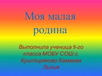 Презентация по краеведению Моя малая родина - деревня Ново-Тумутуково