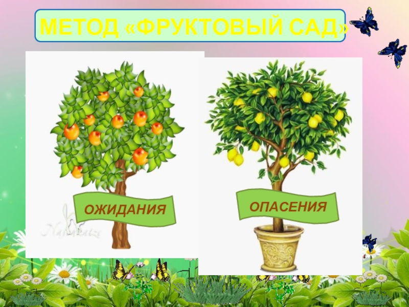 Презентация Активные методы и приёмы обучения на различных этапах урока в начальной школе. МЕТОД «ФРУКТОВЫЙ САД»ОЖИДАНИЯОПАСЕНИЯ МЕТОД «ФРУКТОВЫЙ САД»ОЖИДАНИЯОПАСЕНИЯ