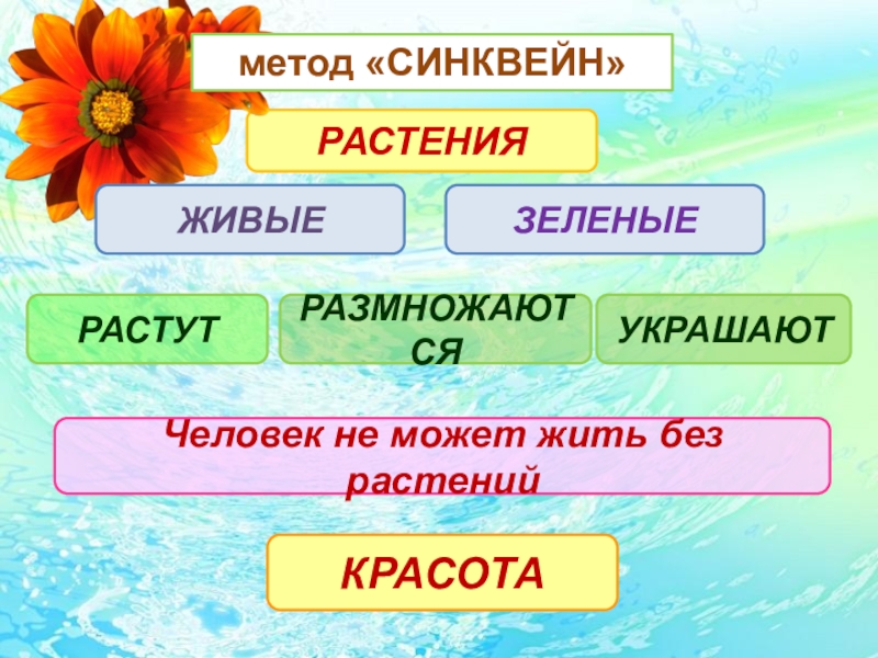 Презентация Активные методы и приёмы обучения на различных этапах урока в начальной школе. РАСТЕНИЯЧеловек не может жить без растенийКРАСОТАРАСТУТРАЗМНОЖАЮТСЯУКРАШАЮТЗЕЛЕНЫЕЖИВЫЕметод «СИНКВЕЙН» РАСТЕНИЯЧеловек не может жить без растенийКРАСОТАРАСТУТРАЗМНОЖАЮТСЯУКРАШАЮТЗЕЛЕНЫЕЖИВЫЕметод «СИНКВЕЙН»