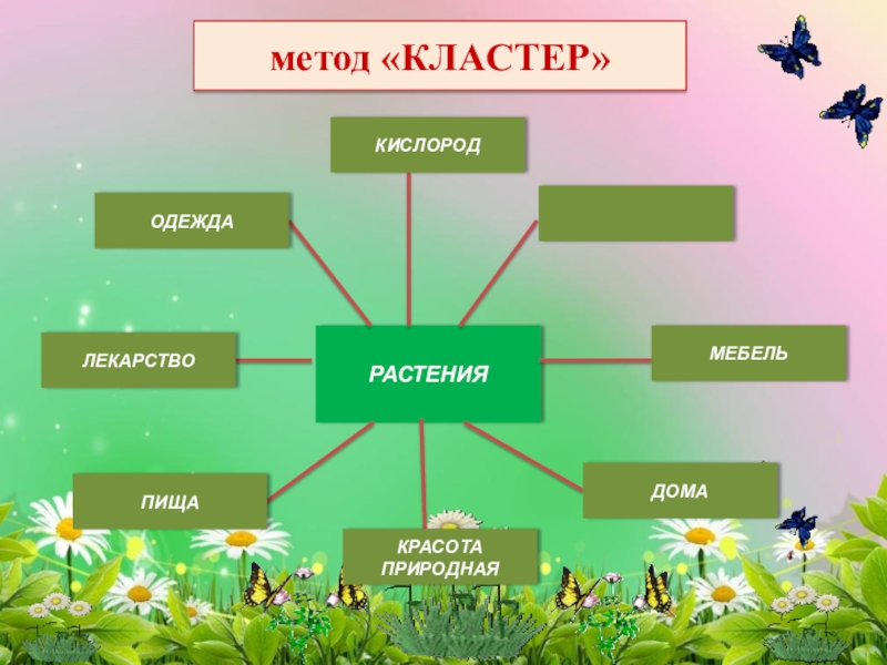 Презентация Активные методы и приёмы обучения на различных этапах урока в начальной школе. метод «КЛАСТЕР»РАСТЕНИЯМЕБЕЛЬДОМАКРАСОТА ПРИРОДНАЯПИЩАЛЕКАРСТВООДЕЖДАКИСЛОРОД метод «КЛАСТЕР»РАСТЕНИЯМЕБЕЛЬДОМАКРАСОТА ПРИРОДНАЯПИЩАЛЕКАРСТВООДЕЖДАКИСЛОРОД