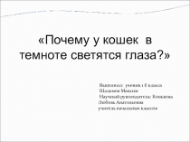 Презентация Почему у кошек светятся глаза?