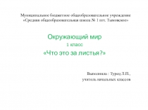 Презентация к уроку окружающего мира по теме Что за листья