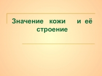Презентация по биологии Кожа и ее значение 8 класс
