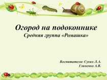 Презентация Огород на подоконнике