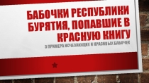 Презентация Бабочки из Красной книги Бурятии.