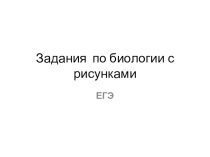 Презентация по биологии Задания ЕГЭ с рисунками