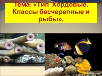 Презентация по биологии для 7 класса на тему: Внешнее и внутреннее строение рыб.