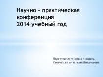 Презентация по НПК Бездомные животные нашего села