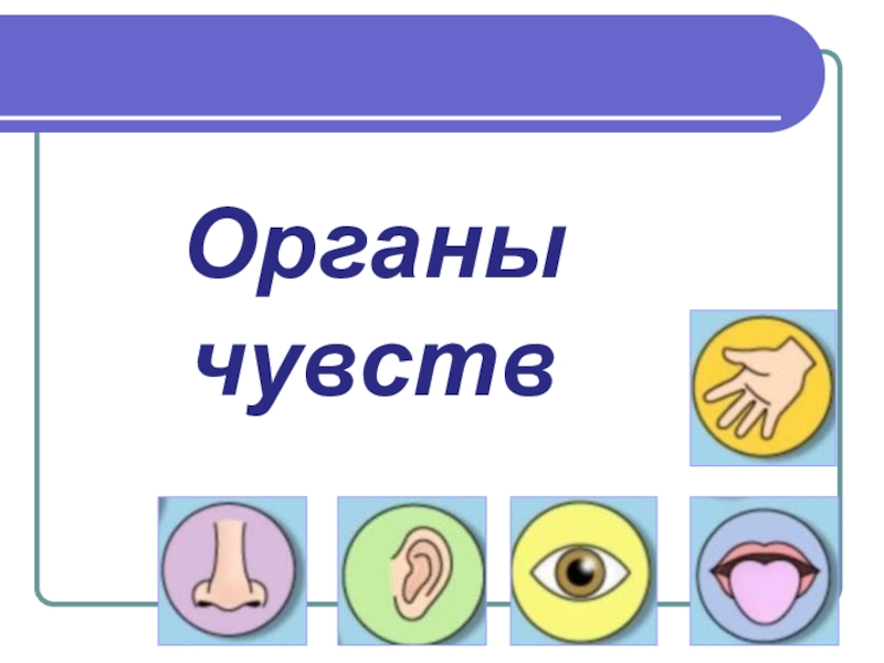 Конспект с презентацией урока органы чувств 3 класс с презентацией