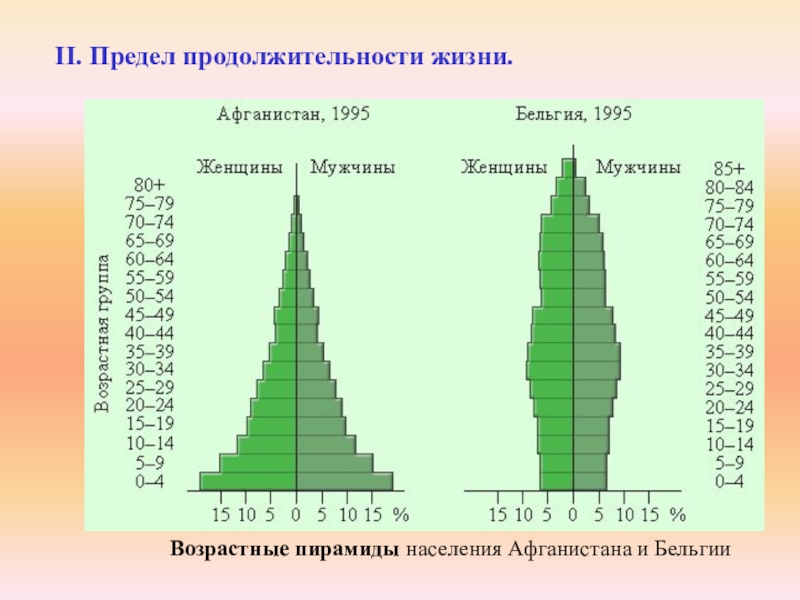 Предположи в какой стране возрастная структура очень схожа с той что представлена на рисунке