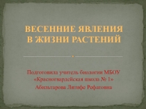 Презентация к виртуальной экскурсии