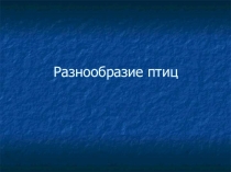 Презентация по биологии Разнообразие птиц