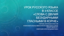 Презентация Слова с двумя безударными в корне слова