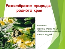 Проект по окружающему миру (3 класс)