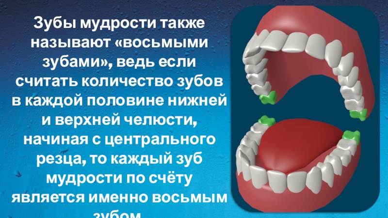 3 5 8 зуб