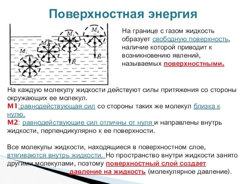 Что называют свободной поверхностью жидкости