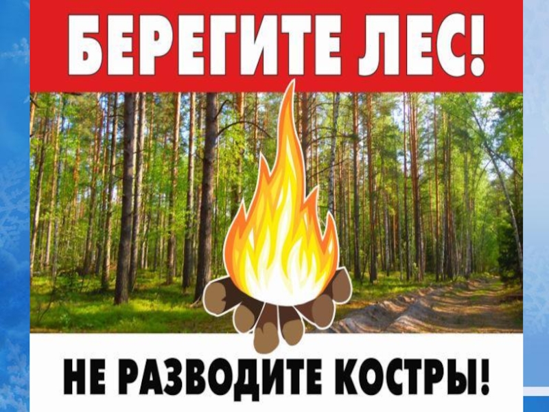 Песня берегите лес. Не разводить костры. Берегите лес. Берегите лес не разводите костры. Не разжигать огонь в лесу.